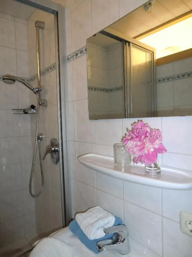 Ferienpension Fremuth Ruhmannsfelden 3*,  Germany